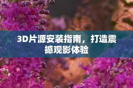 3D片源安装指南图片