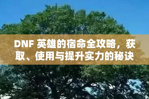 DNF 英雄的宿命全攻略图片