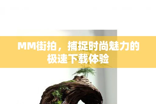 捕捉时尚魅力的极速下载体验图片