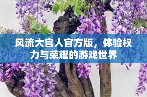 体验权力与荣耀的游戏世界图片