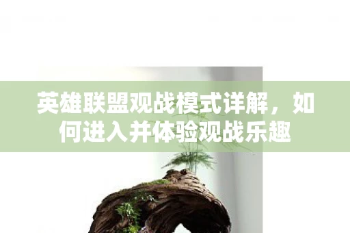 如何进入并体验观战乐趣图片