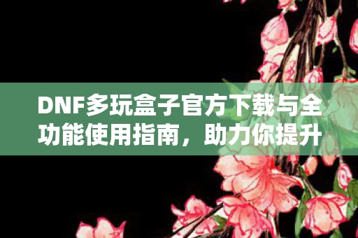 DNF多玩盒子官方下载与全功能使用指南图片