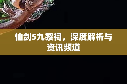 深度解析与资讯频道图片