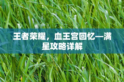 满星攻略详解图片