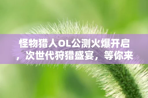 怪物猎人OL公测火爆开启图片