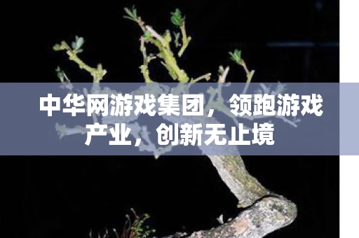 中华网游戏集团图片