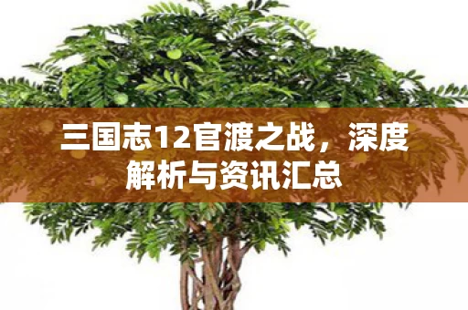 三国志12官渡之战图片