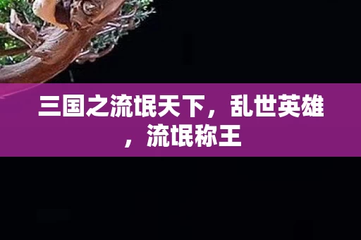 三国之流氓天下图片
