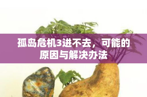 可能的原因与解决办法图片