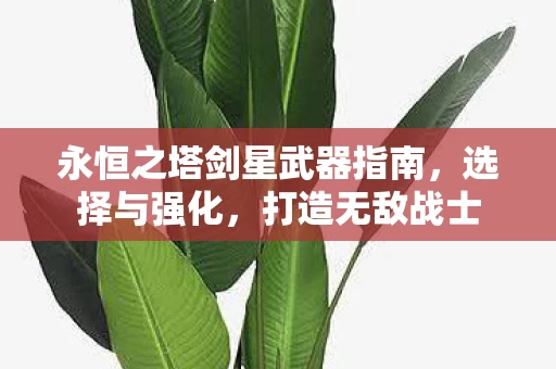 永恒之塔剑星武器指南图片