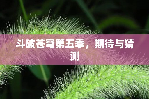 斗破苍穹第五季图片