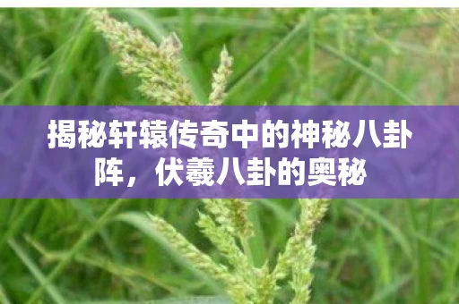 揭秘轩辕传奇中的神秘八卦阵图片