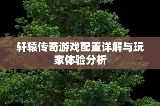 轩辕传奇游戏配置详解与玩家体验分析图片