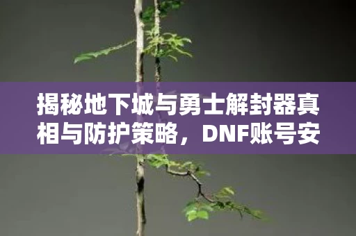 揭秘地下城与勇士解封器真相与防护策略图片
