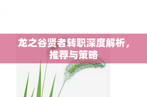 龙之谷贤者转职深度解析图片
