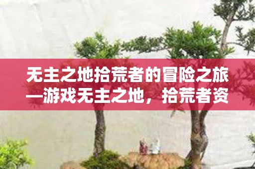 无主之地拾荒者的冒险之旅图片