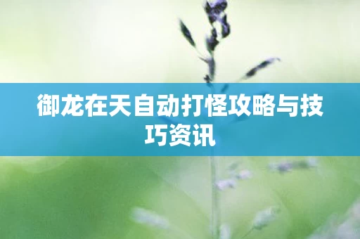 御龙在天自动打怪攻略与技巧资讯图片