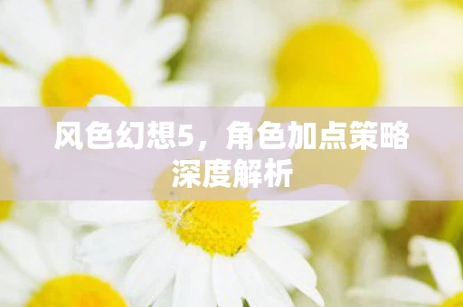 角色加点策略深度解析图片