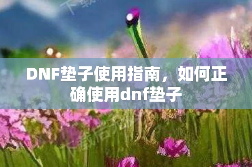 如何正确使用dnf垫子图片
