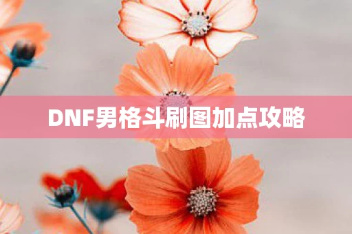 DNF男格斗刷图加点攻略图片