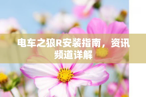 电车之狼R安装指南图片