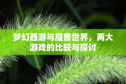 两大游戏的比较与探讨图片