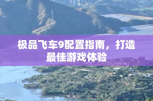 极品飞车9配置指南图片