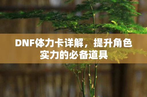 提升角色实力的必备道具图片