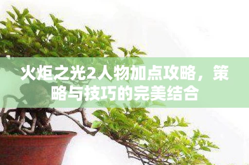 火炬之光2人物加点攻略图片