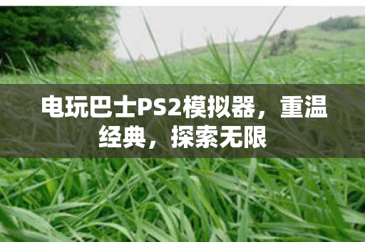 电玩巴士PS2模拟器图片