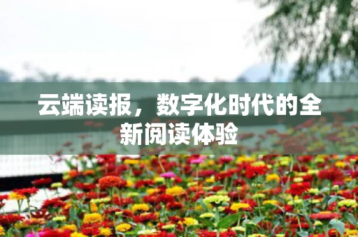 数字化时代的全新阅读体验图片