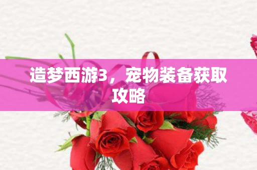 宠物装备获取攻略图片