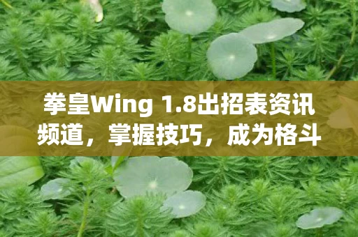 拳皇Wing 1图片