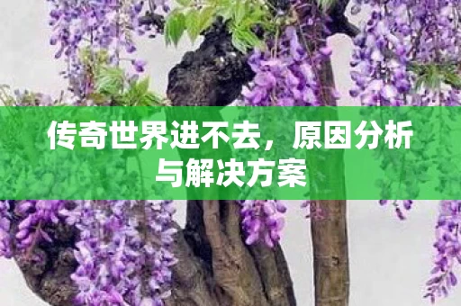 原因分析与解决方案图片