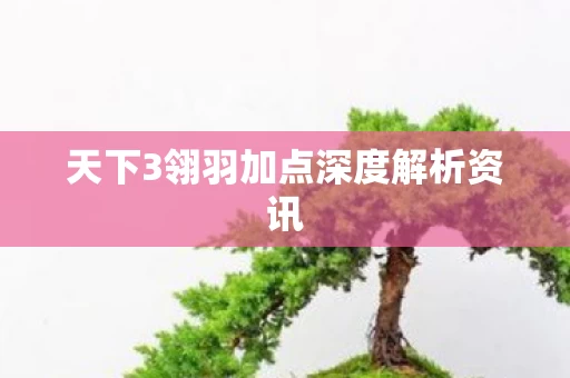 天下3翎羽加点深度解析资讯图片