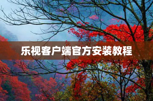 乐视客户端官方安装教程图片