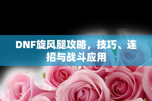 DNF旋风腿攻略图片