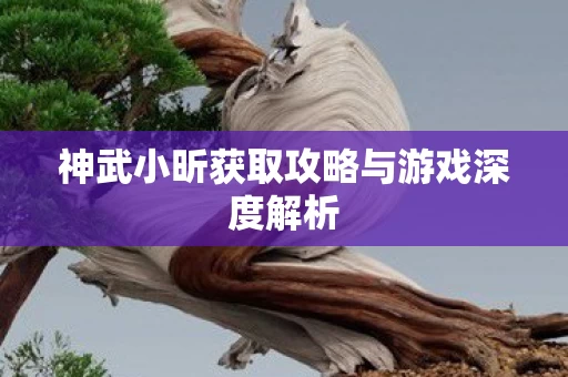 神武小昕获取攻略与游戏深度解析图片