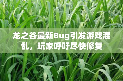 龙之谷最新Bug引发游戏混乱图片