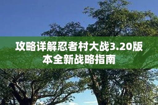 攻略详解忍者村大战3图片