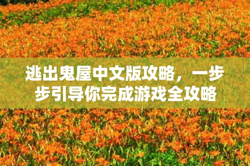一步步引导你完成游戏全攻略图片