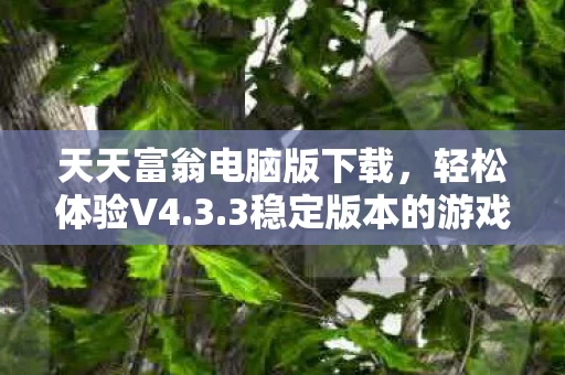 3稳定版本的游戏乐趣图片
