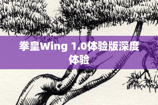 拳皇Wing 1图片
