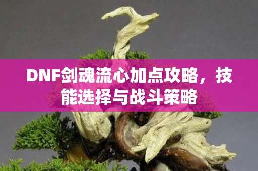 DNF剑魂流心加点攻略图片