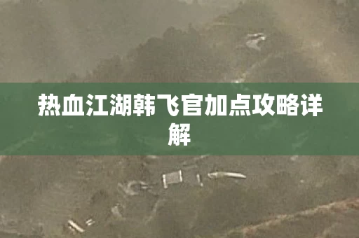 热血江湖韩飞官加点攻略详解图片