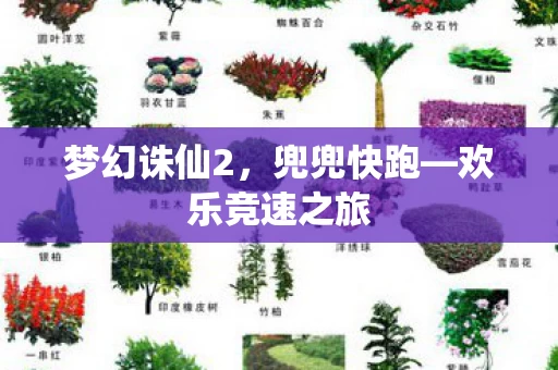 欢乐竞速之旅图片