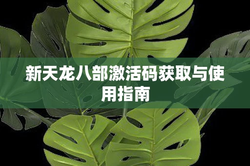 新天龙八部激活码获取与使用指南图片