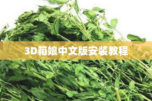 3D箱娘中文版安装教程图片