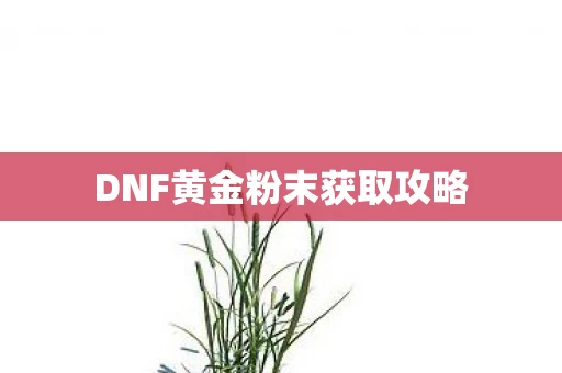 DNF黄金粉末获取攻略图片