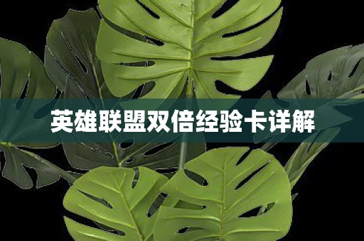 英雄联盟双倍经验卡详解图片